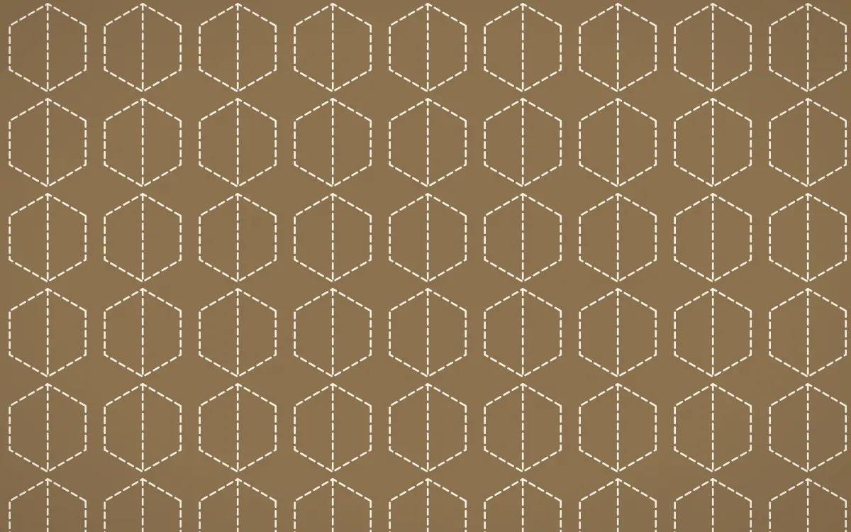 Pampas Cream Stitch Hexagons — colourful orange and beige sashiko background