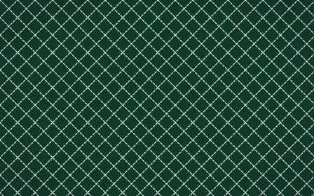 Persian Garden Stitch Diamonds — dark green and white sashiko background