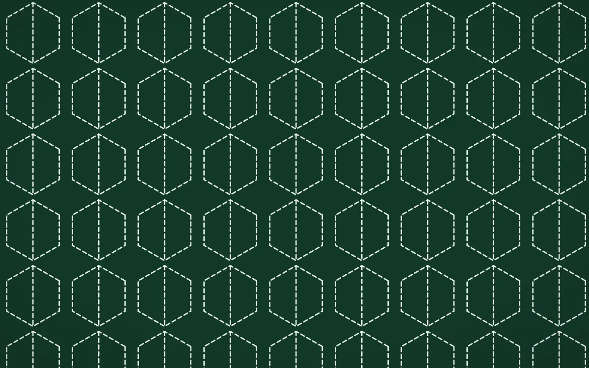 Persian Garden Stitch Hexagons — dark green and white sashiko background