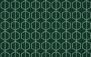 Persian Garden Stitch Hexagons — dark green and white sashiko background