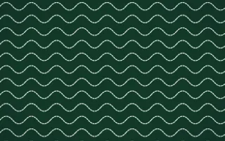 Persian Garden Stitch Waves — dark green and white sashiko background