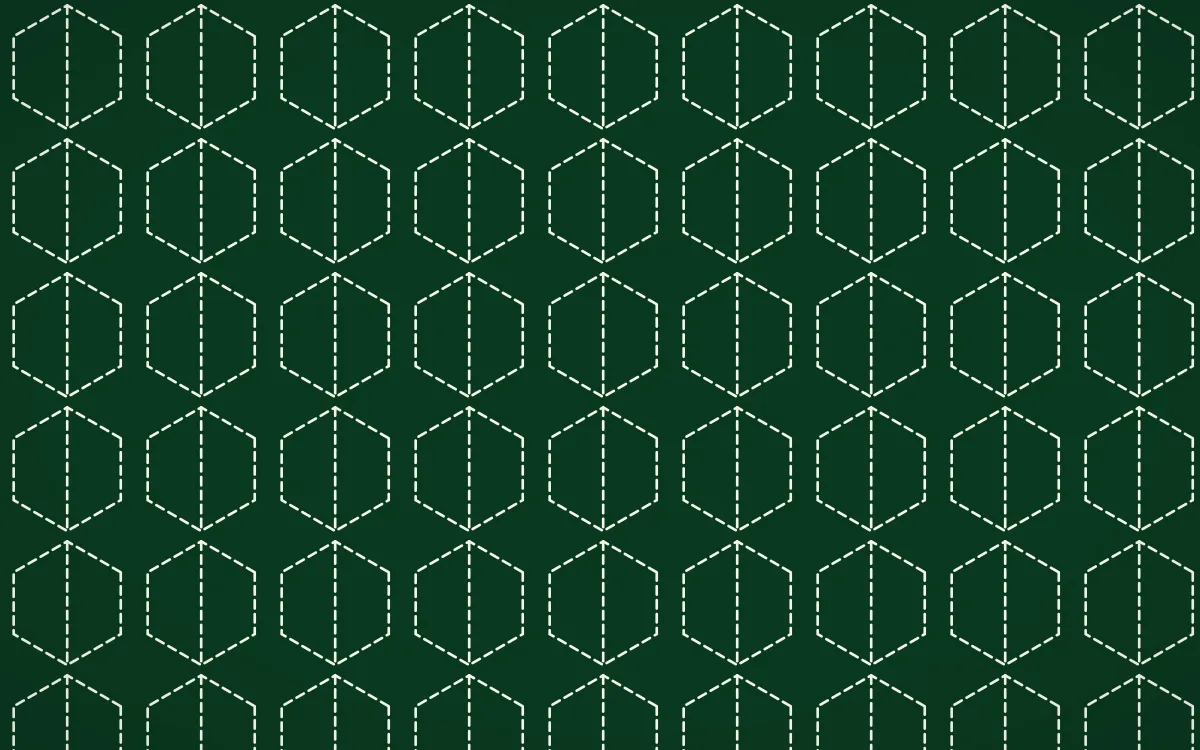 Rio Carnival Stitch Hexagons — dark green sashiko background