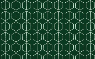 Rio Carnival Stitch Hexagons — dark green sashiko background