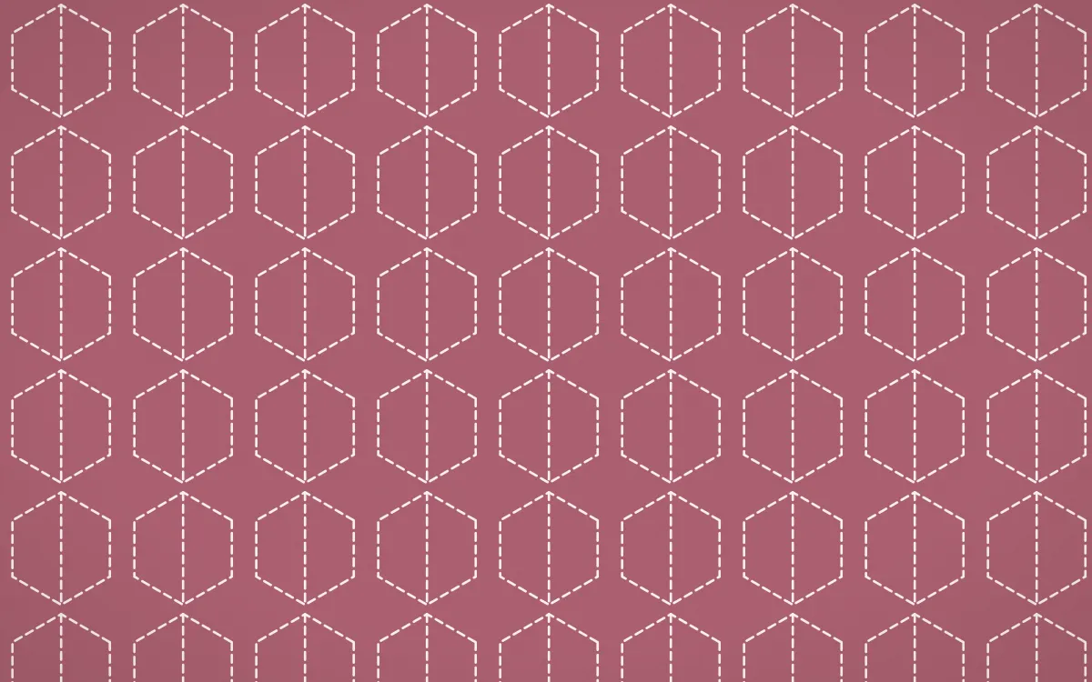 Sakura Paper Stitch Hexagons — colourful red and white sashiko background