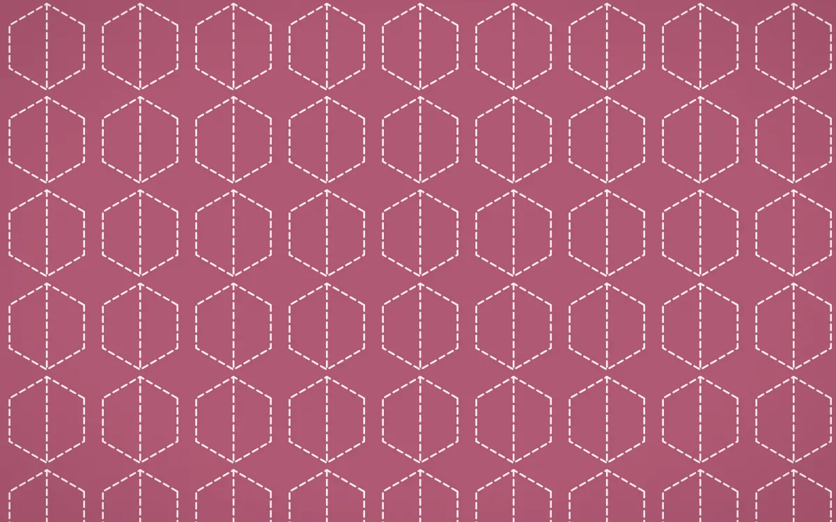 Seoul Blossom Stitch Hexagons — colourful pink and white sashiko background