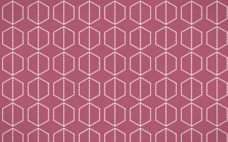 Seoul Blossom Stitch Hexagons — colourful pink and white sashiko background