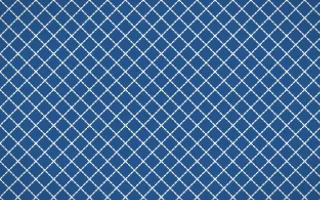 Talavera Puebla Stitch Diamonds — dark blue and white sashiko background
