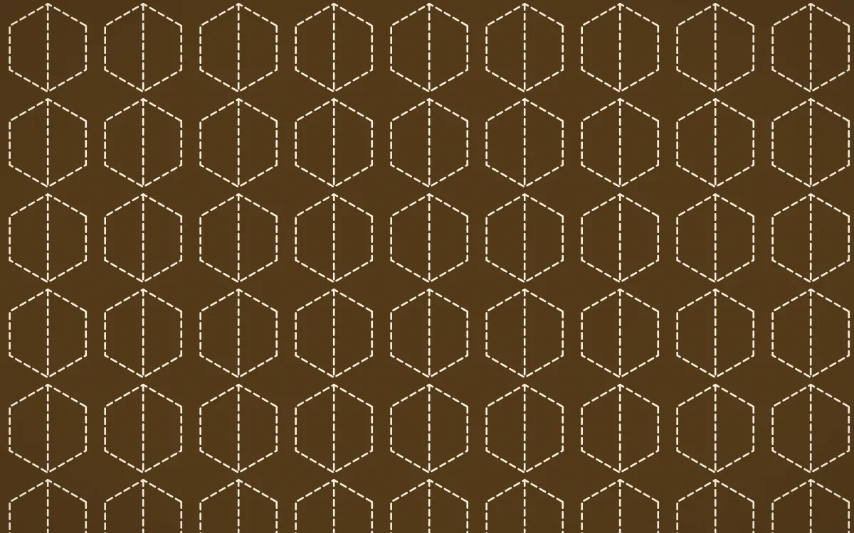Tuscany Sun Stitch Hexagons — dark brown and beige sashiko background