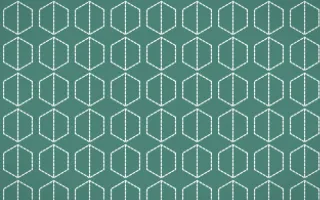 Winter Palace Stitch Hexagons — colourful teal and white sashiko background