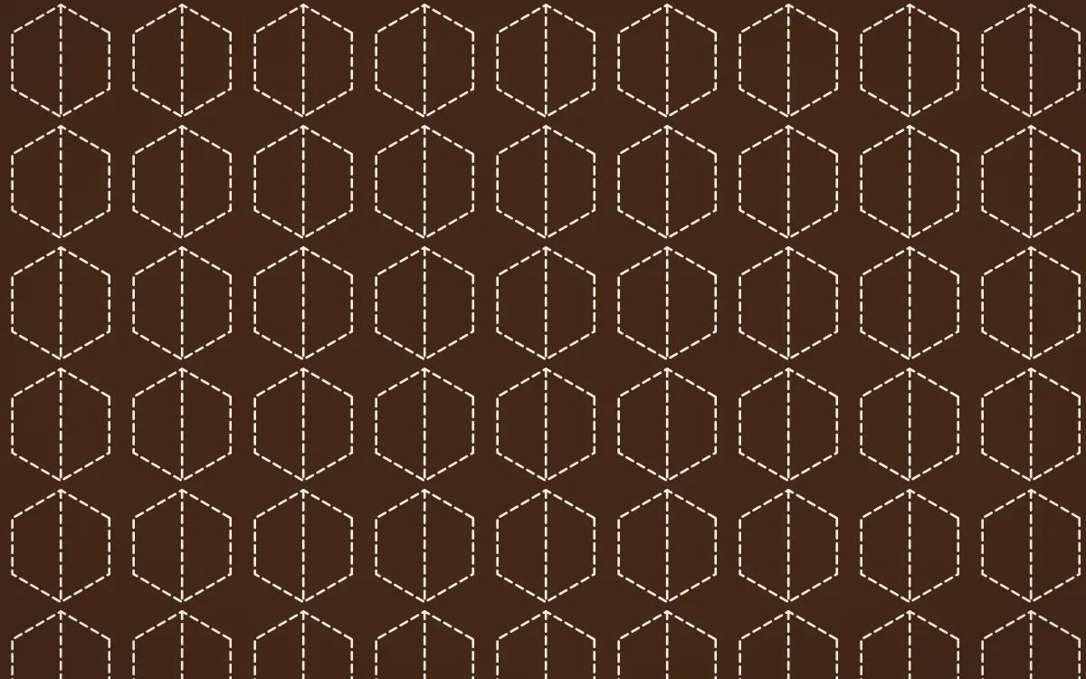Zanzibar Spice Stitch Hexagons — dark brown and beige sashiko background
