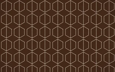 Zanzibar Spice Stitch Hexagons — dark brown and beige sashiko background