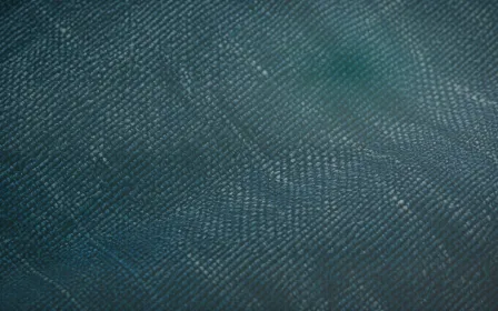 Seigaiha Spotlight — colourful teal and white seigaiha background