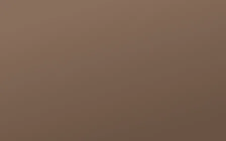 Muted Brown — colourful orange and brown solid color background