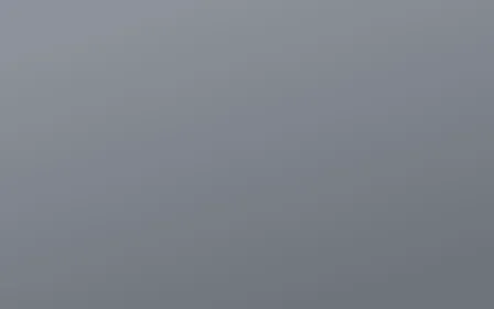Muted Grey — colourful grey solid color background