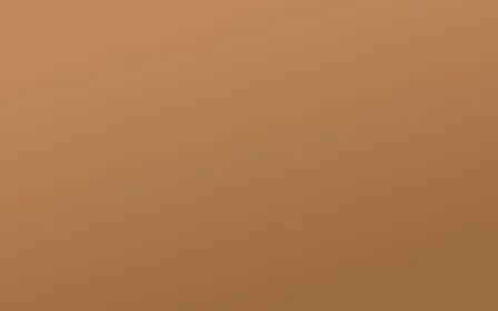 Muted Orange — colourful orange solid color background