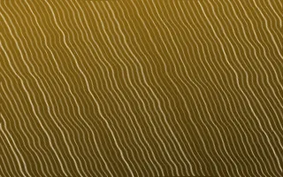 Accra Gold Arashi Shibori — dark brown and beige shibori background
