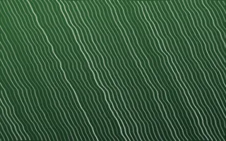 Amazônia Arashi Shibori — dark green and white shibori background