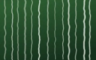 Amazônia Shibori Folds — dark green and white shibori background