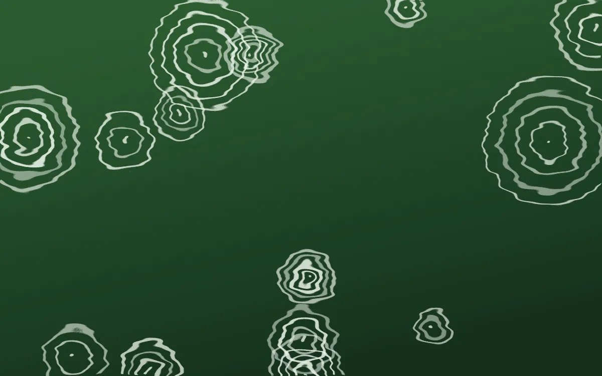 Amazônia Shibori Rings — dark green and white shibori background