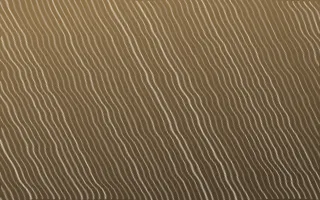 Atlas Sand Arashi Shibori — dark orange, brown and beige shibori background