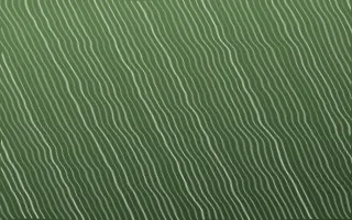 Bamboo Mist Arashi Shibori — dark green and white shibori background