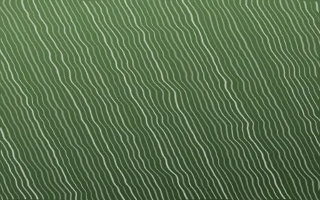 Bamboo Mist Arashi Shibori — dark green and white shibori background