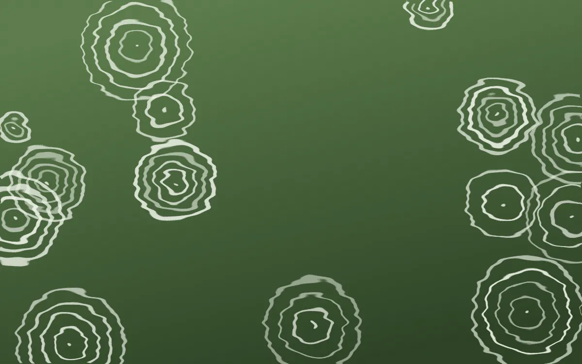 Bamboo Mist Shibori Rings — dark green and white shibori background