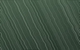 Bavarian Forest Arashi Shibori — dark green and white shibori background