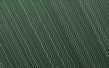 Bavarian Forest Arashi Shibori — dark green and white shibori background