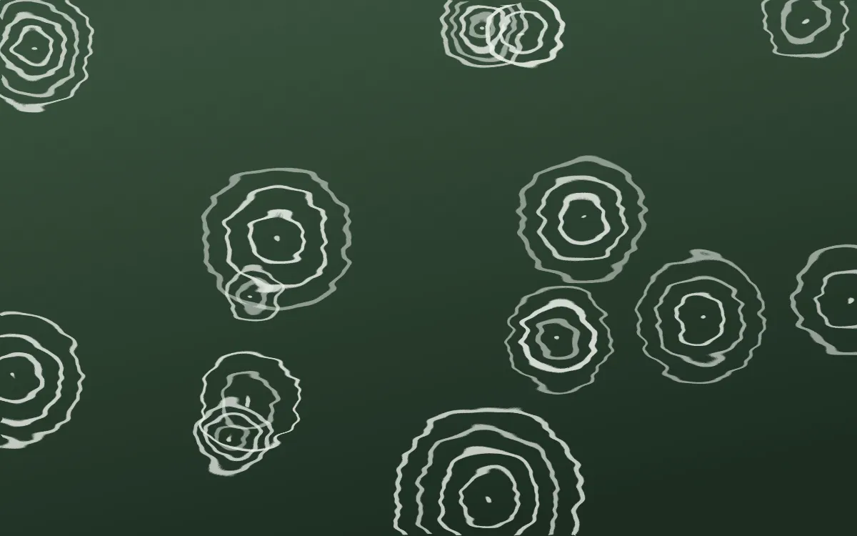 Bavarian Forest Shibori Rings — dark green and white shibori background