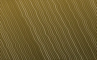 Cairo Gold Arashi Shibori — dark brown and beige shibori background