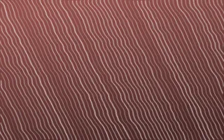 Cape Protea Arashi Shibori — dark red and white shibori background