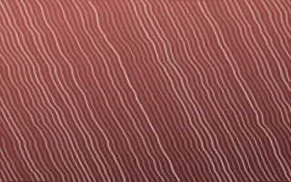 Damascus Rose Arashi Shibori — dark red and white shibori background