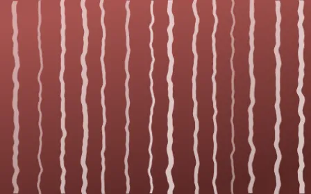 Damascus Rose Shibori Folds — dark red and white shibori background