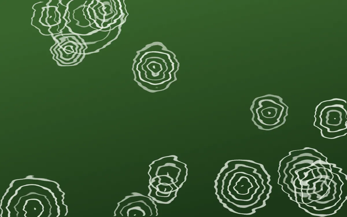 Emerald Isle Shibori Rings — dark green and white shibori background