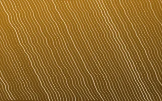 Fes Saffron Arashi Shibori — dark brown and beige shibori background