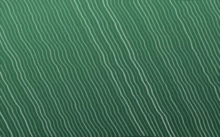 Jade Dynasty Arashi Shibori — dark green and white shibori background