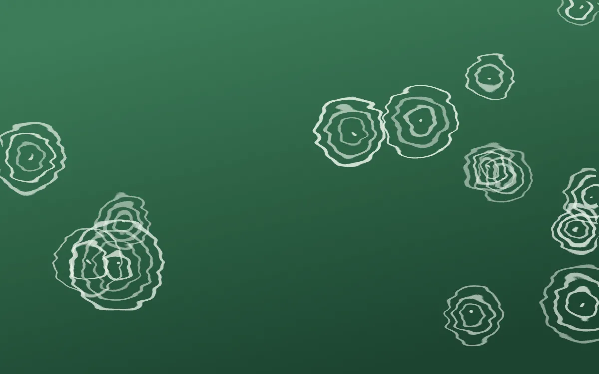 Jade Dynasty Shibori Rings — dark green and white shibori background