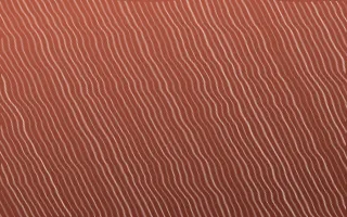 Jaipur Rose Arashi Shibori — dark red, brown and orange shibori background