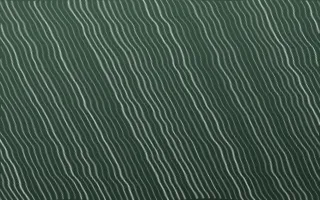 Kiwi Fern Arashi Shibori — dark green and white shibori background