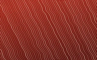 Lantern Festival Arashi Shibori — dark red and orange shibori background
