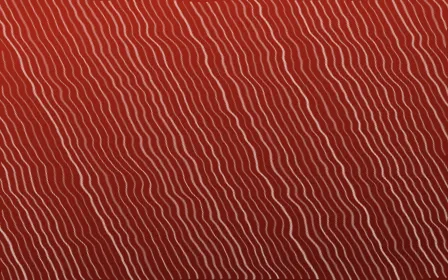 Lantern Festival Arashi Shibori — dark red and orange shibori background