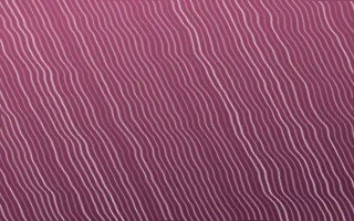 Lotus Siam Arashi Shibori — dark pink and white shibori background