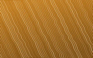 Marigold Temple Arashi Shibori — dark orange, brown and beige shibori background