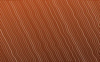 Momiji Maple Arashi Shibori — dark brown and beige shibori background