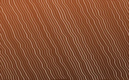 Outback Clay Arashi Shibori — dark brown and beige shibori background