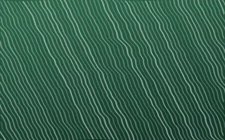 Persian Garden Arashi Shibori — dark green and white shibori background