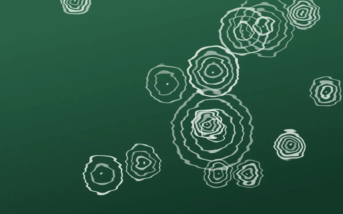 Persian Garden Shibori Rings — dark green and white shibori background