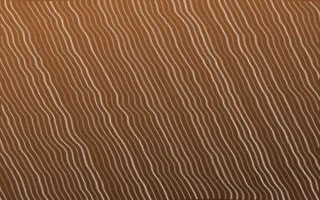 Porto Terra Arashi Shibori — dark brown and beige shibori background