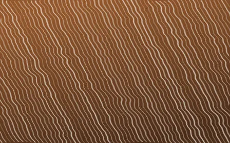 Porto Terra Arashi Shibori — dark brown and beige shibori background